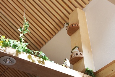 �V��̏���